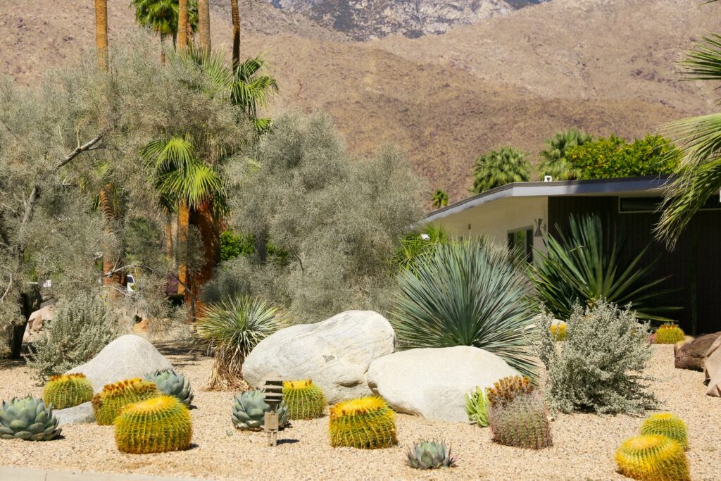 green palm trees near white concrete house during daytime